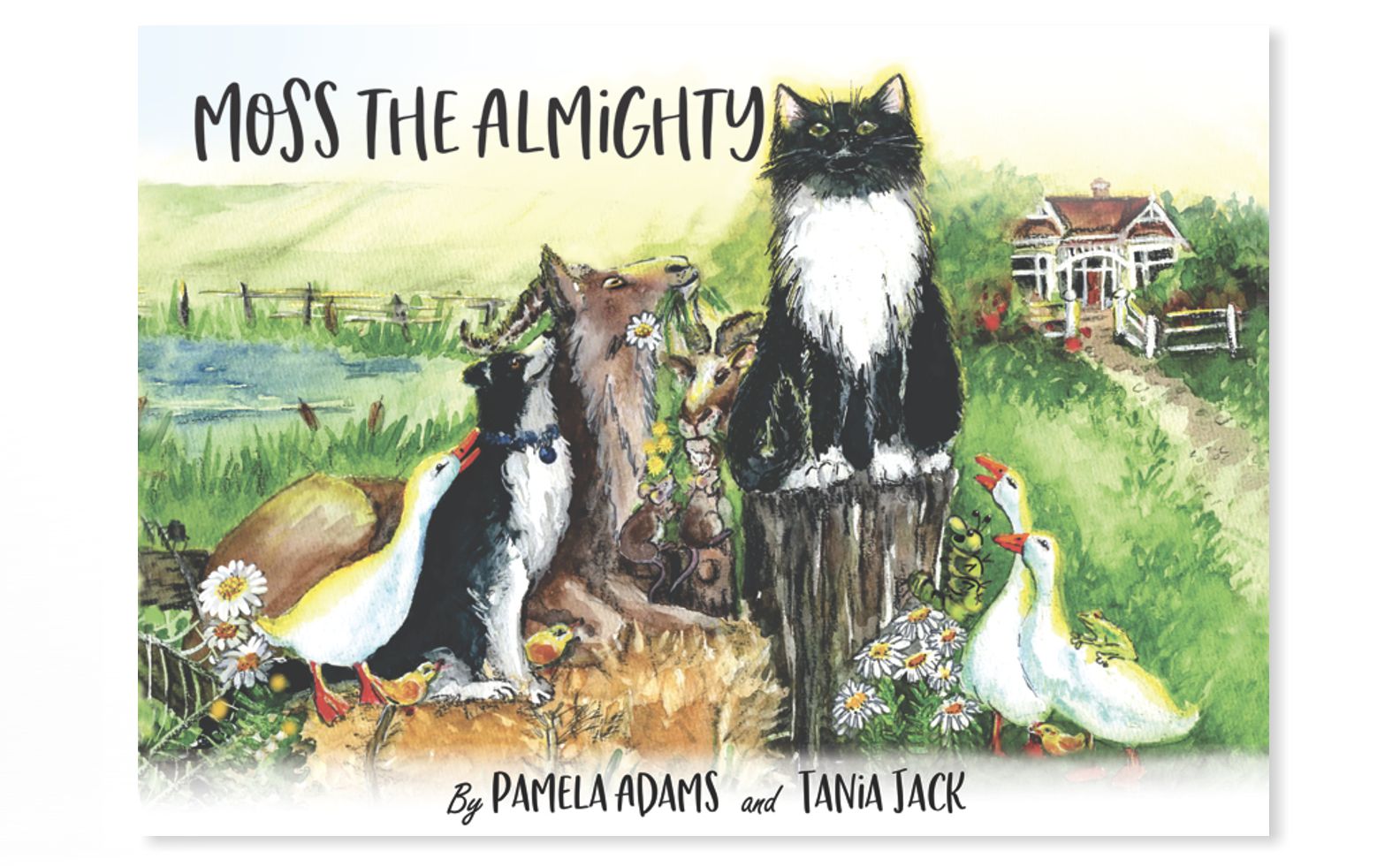 Moss the Almighty. A children's book written by Pamela Adams, Illustrated by Tania Jack and published by Holistic publishing